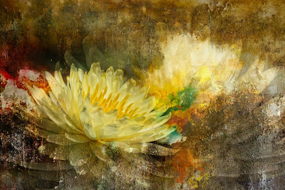 Gylden lotusblomst af Igor Kopcev