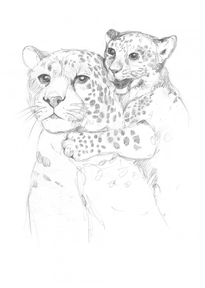 Leoparder af Isabelle Brent