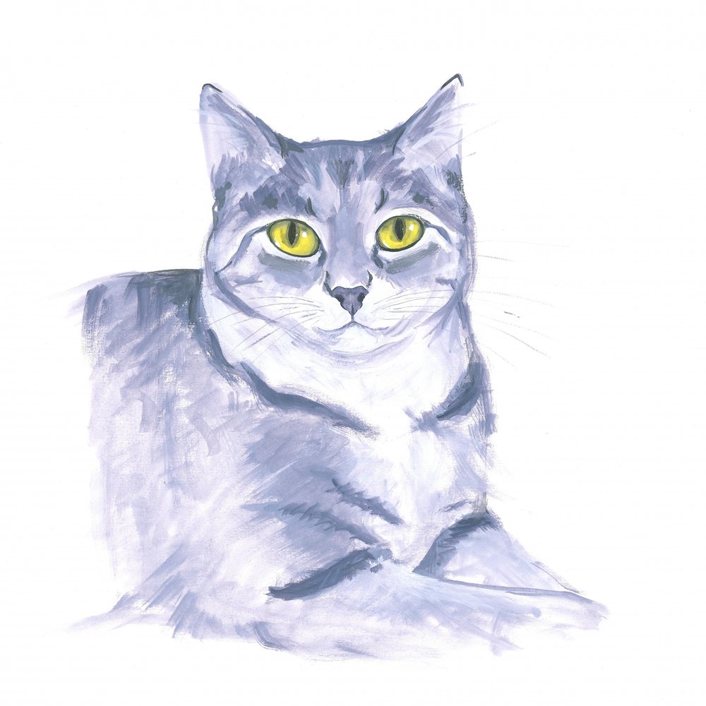 Iagttagende kat af Isabelle Brent