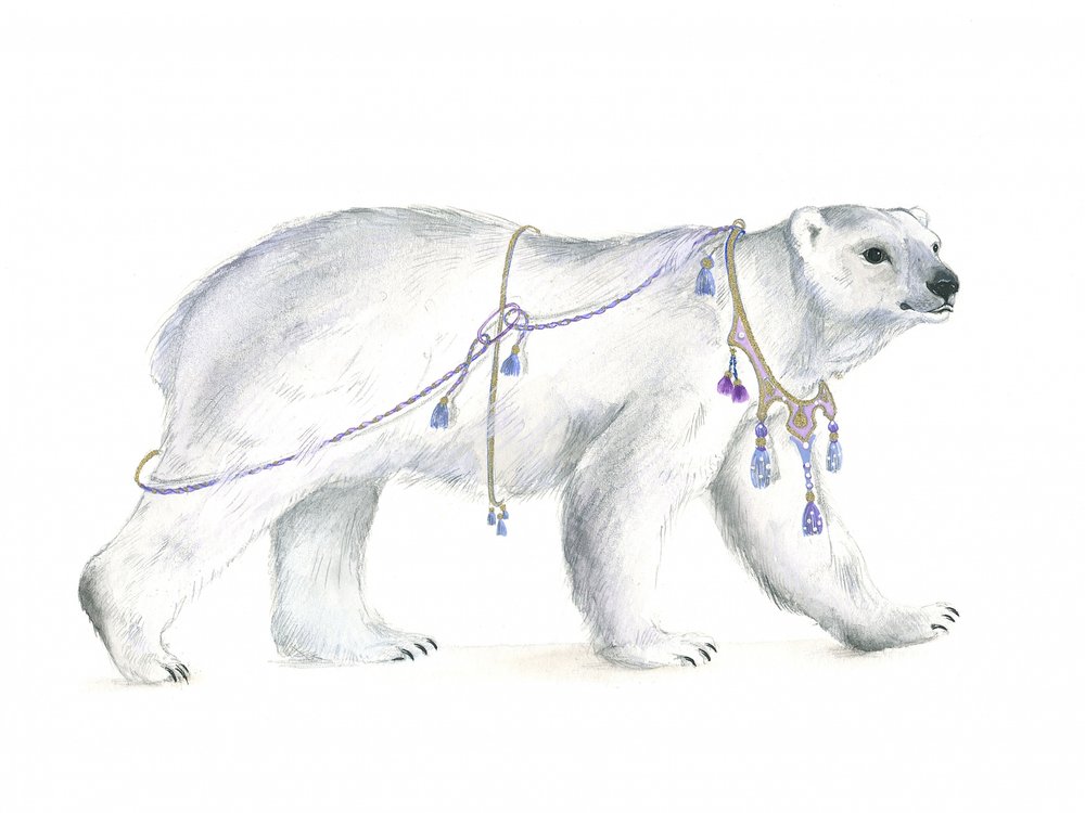 Kongelig polar majestæt af Isabelle Brent