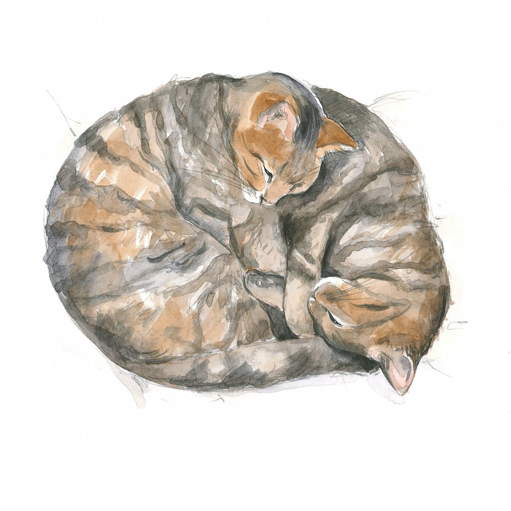 Runde katte af Isabelle Brent