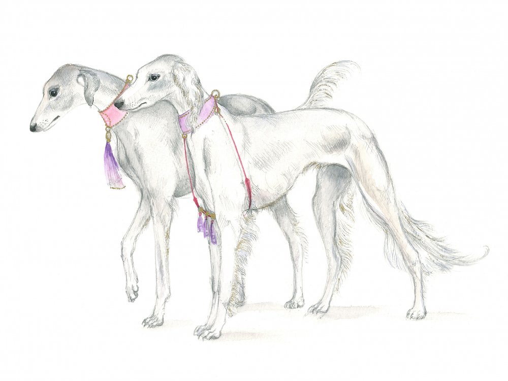 Salukihunde med fine halsbånd af Isabelle Brent