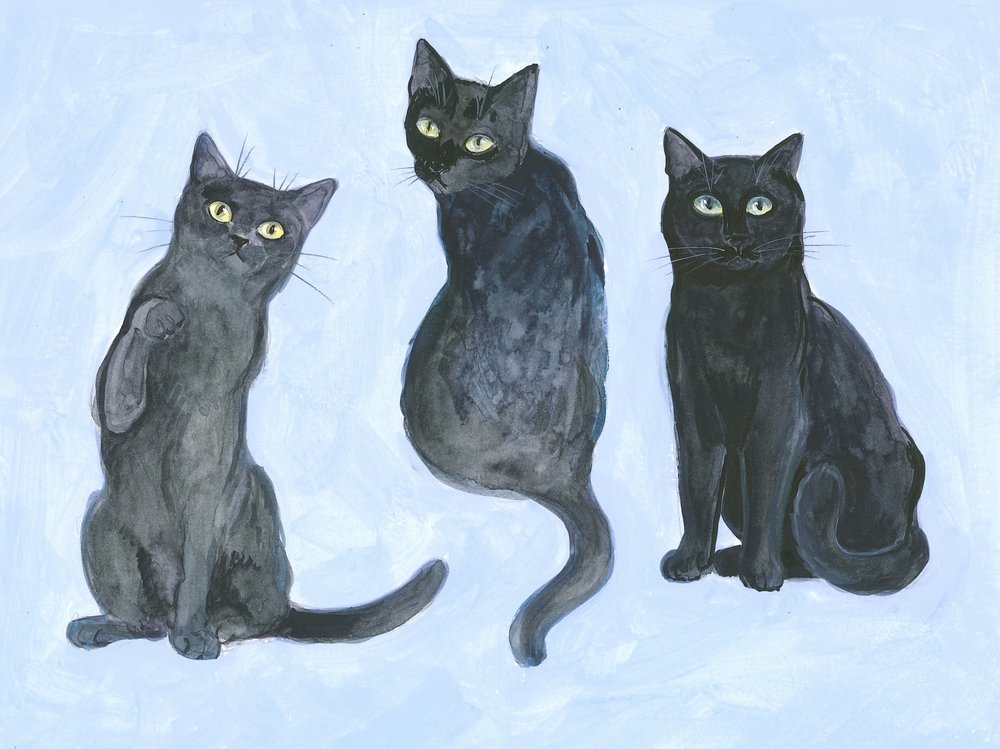 Studie af tre katte af Isabelle Brent