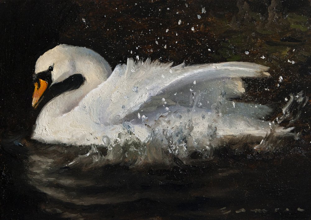 Den dansende svane af James Zamora