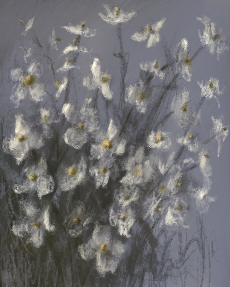 Drømmende hvide blomster af James Zamora
