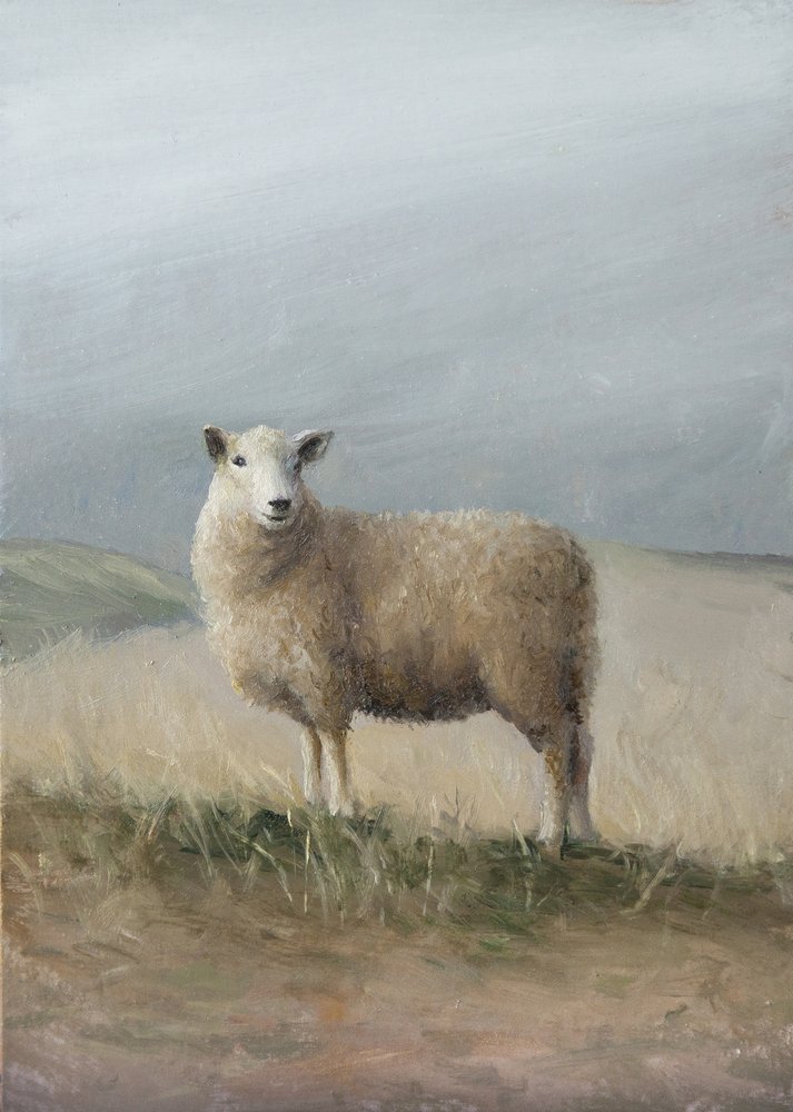 Hyrdefår af James Zamora