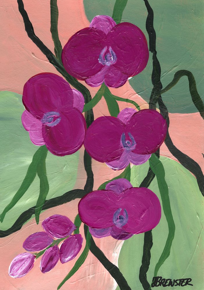 Magenta-orkideer i blomst af Janine Brewster