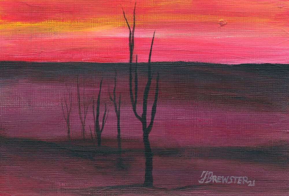 En livlig solnedgang i ørkenen af Janine Brewster