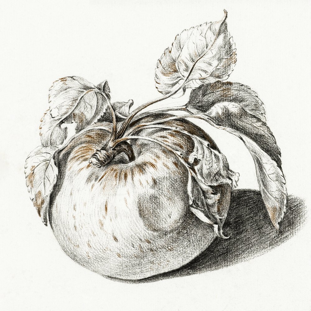 Apple af Jean Bernard