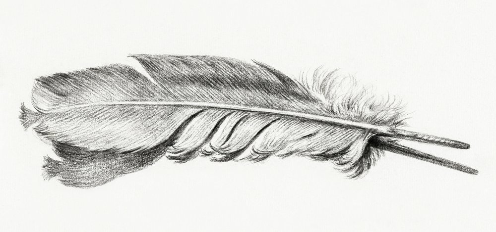 Fjer af Jean Bernard