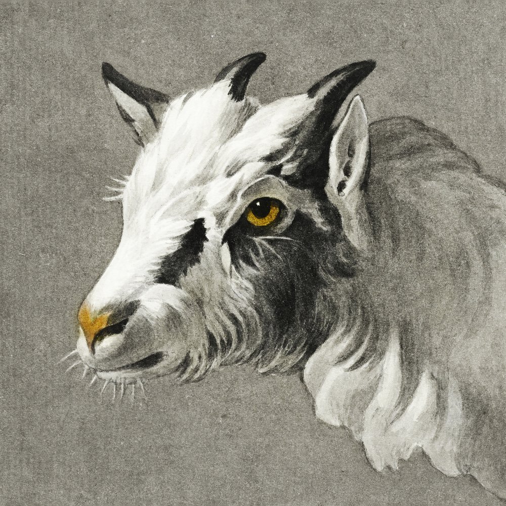Et gedhoved af Jean Bernard