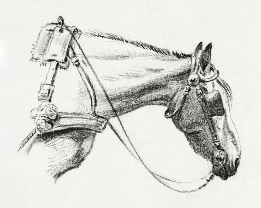 Hestehoved (1820) af Jean Bernard