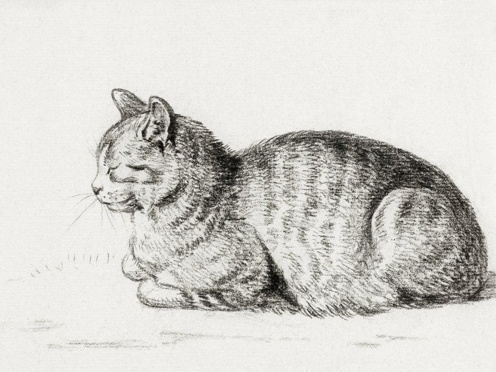 Den sovende kat (1811) af Jean Bernard