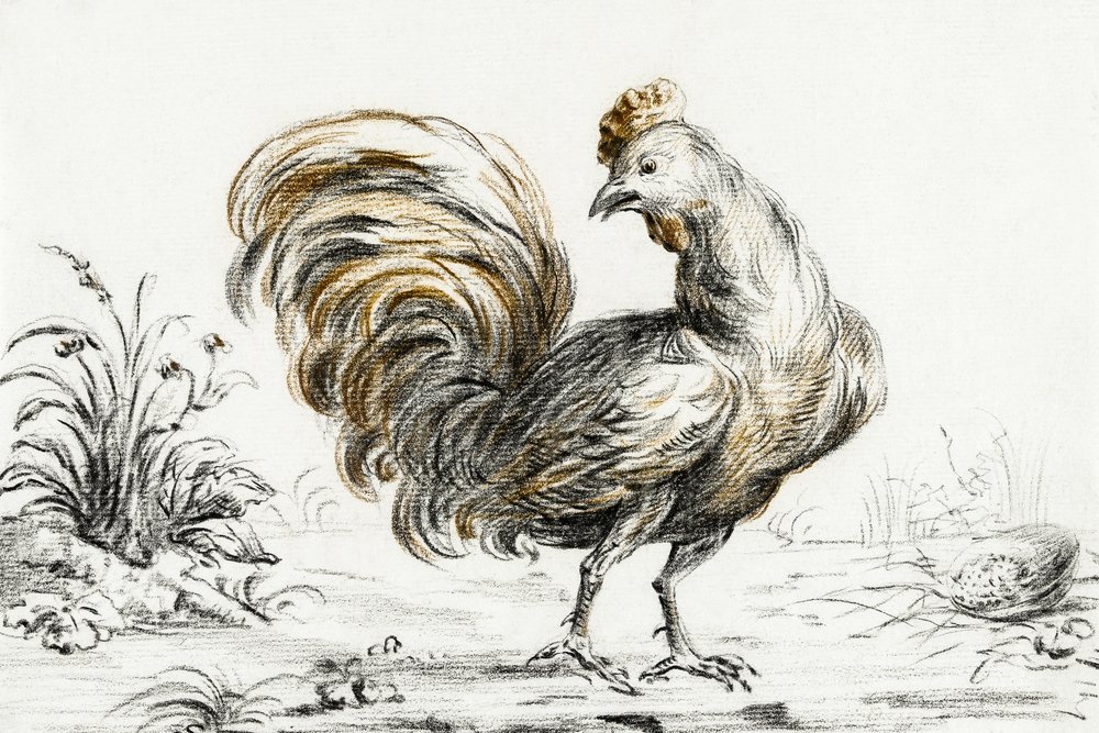 Tidsplan af Jean Bernard