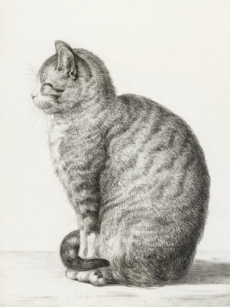 Siddende kat (1815) af Jean Bernard
