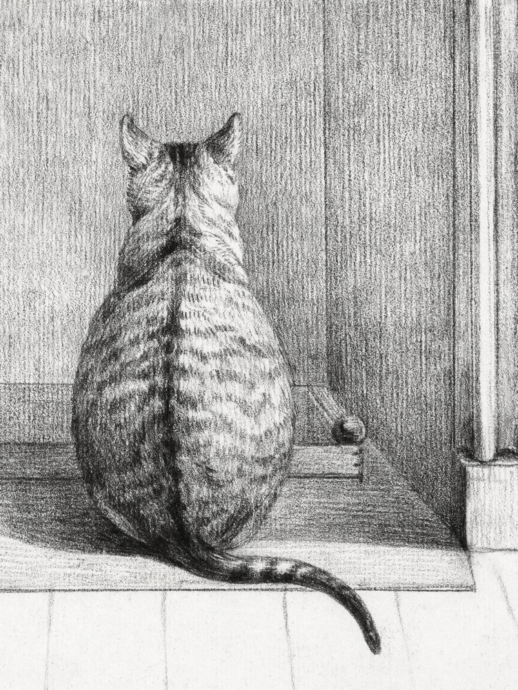 Siddende kat, set bagfra (1812) af Jean Bernard