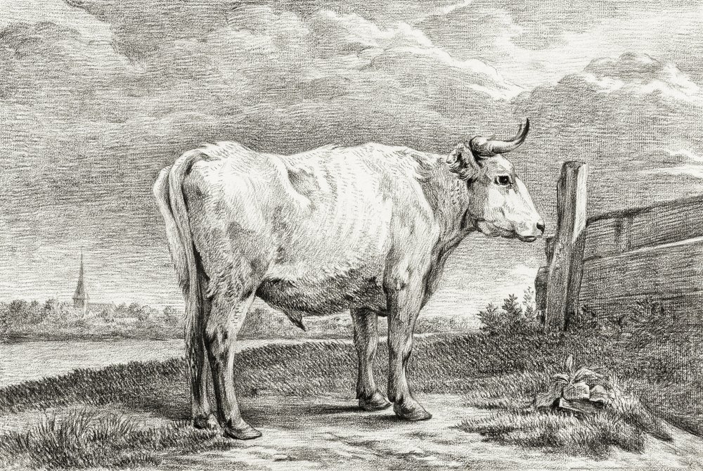Standing Bull (1817) af Jean Bernard