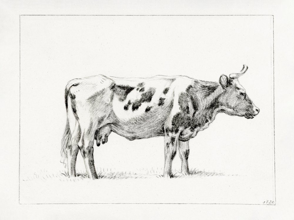 Stående ko (1820) af Jean Bernard