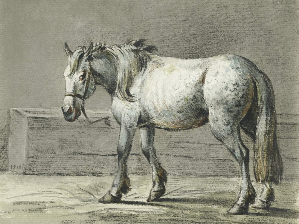 Stående hest (1810–1816) af Jean Bernard af Jean Bernard