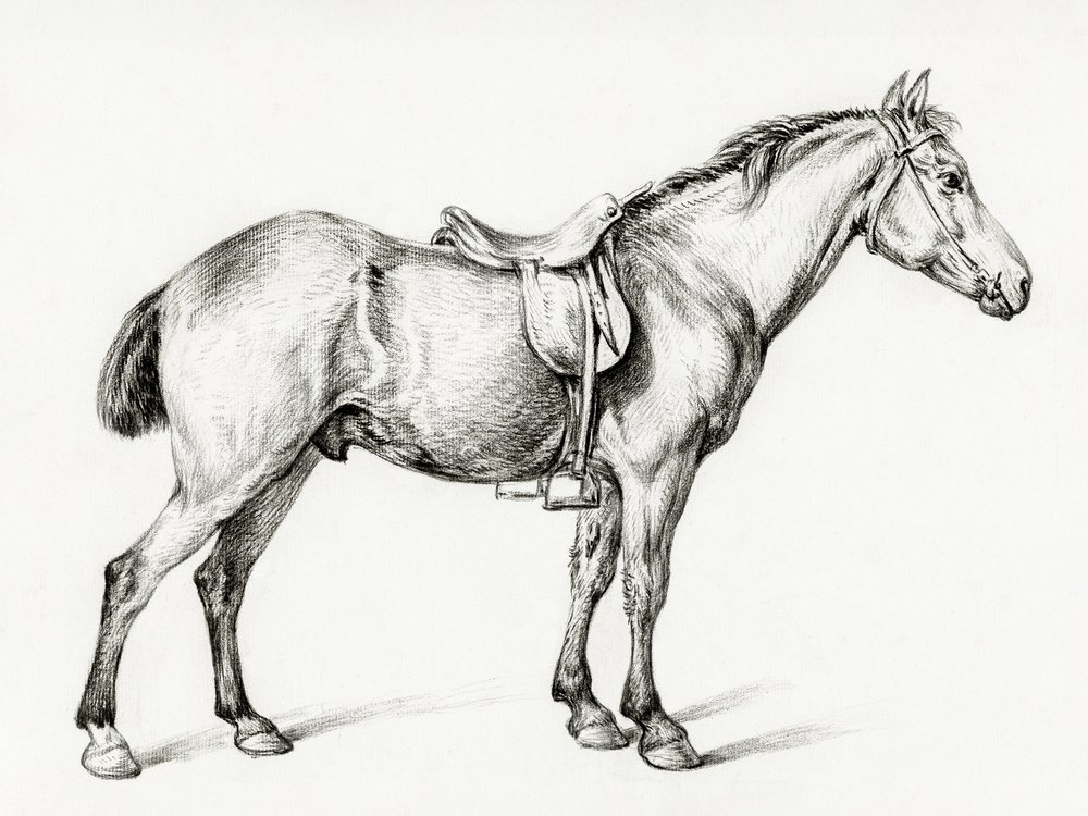 Stående hest af Jean Bernard (1775–1883) af Jean Bernard