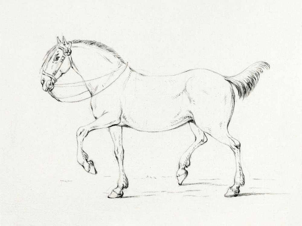 Stepping Horse (1775–1833) af Jean Bernard