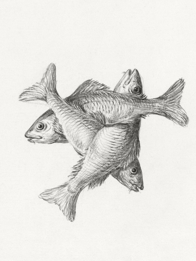 Three Fishes (1775–1833) af Jean Bernard