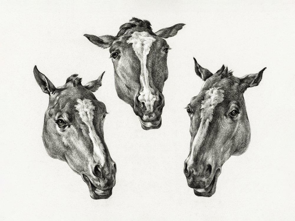 Tre hestehoveder (1812) af Jean Bernard