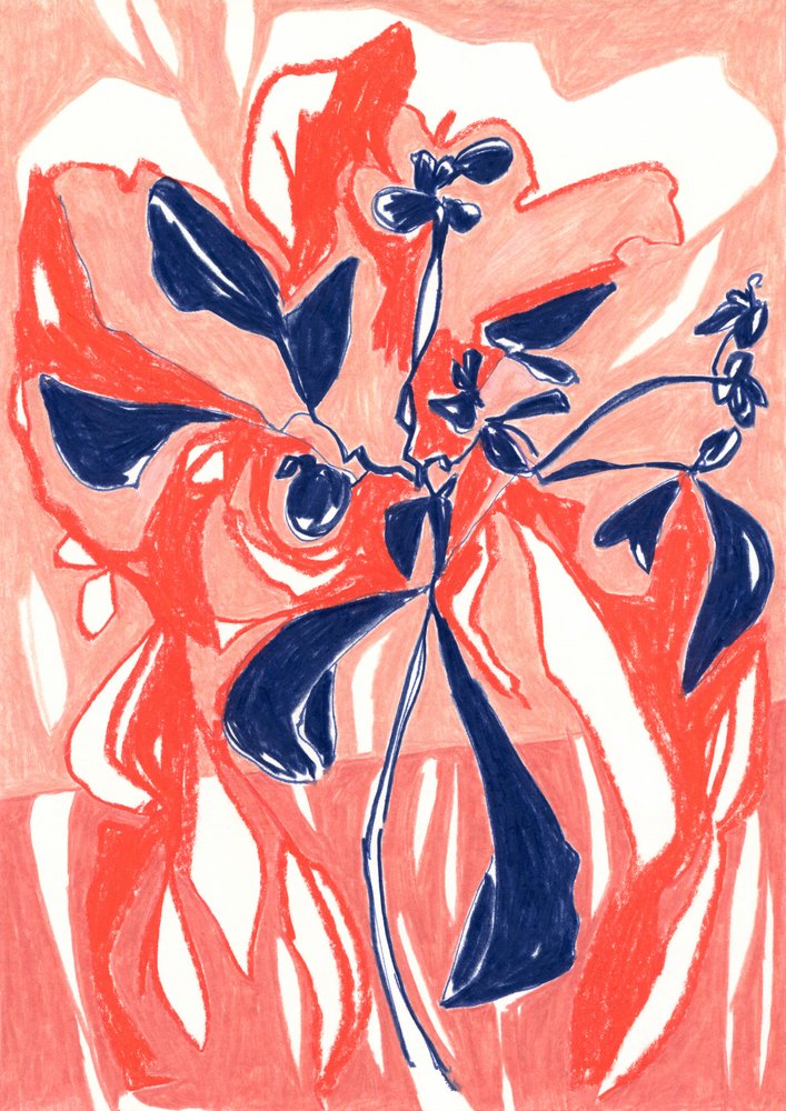 Levende koralblomster af Jenja Braun