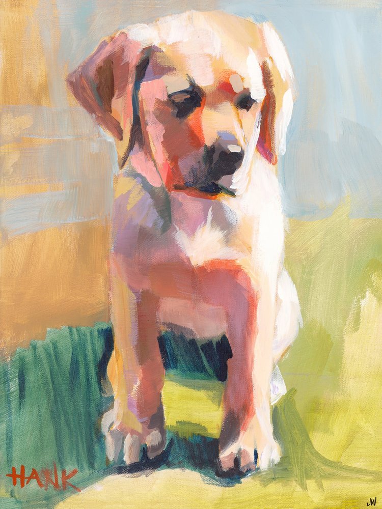 Hank af Jenny Westenhofer