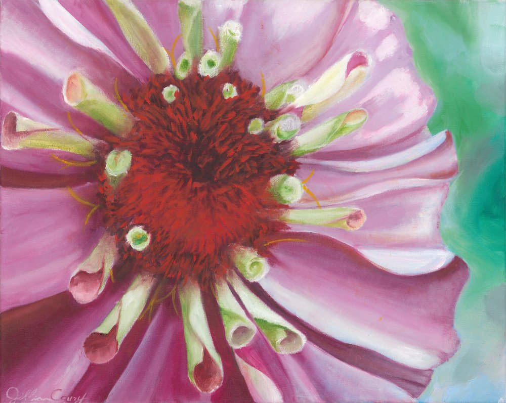 Farvestrålende zinnia-blomst af Jillian Claire