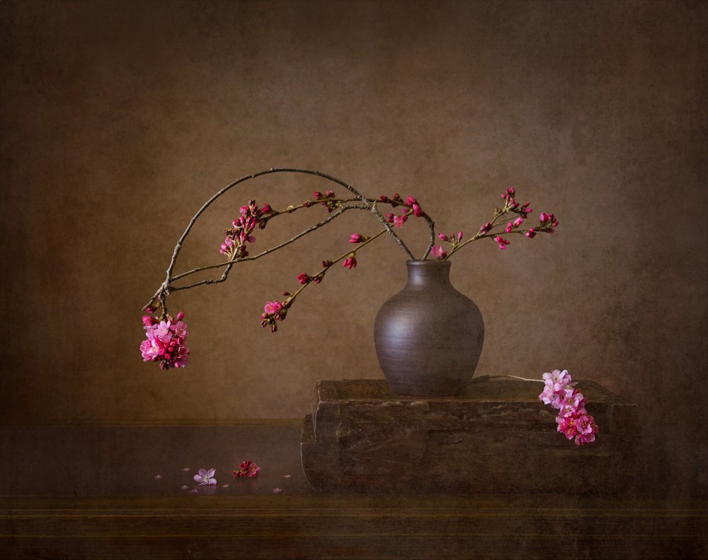 Stilleben med kirsebærblomster af Joanna W