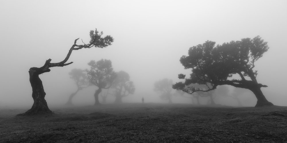  af Jochen Bongaerts