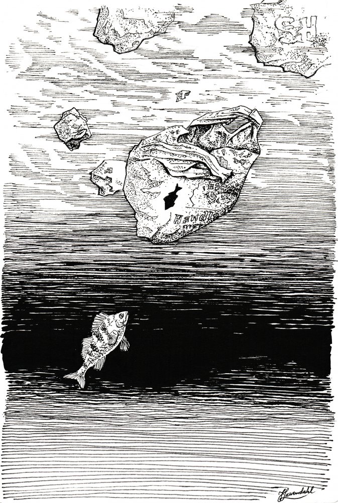 Fisk under plast af Johan Liewendahl