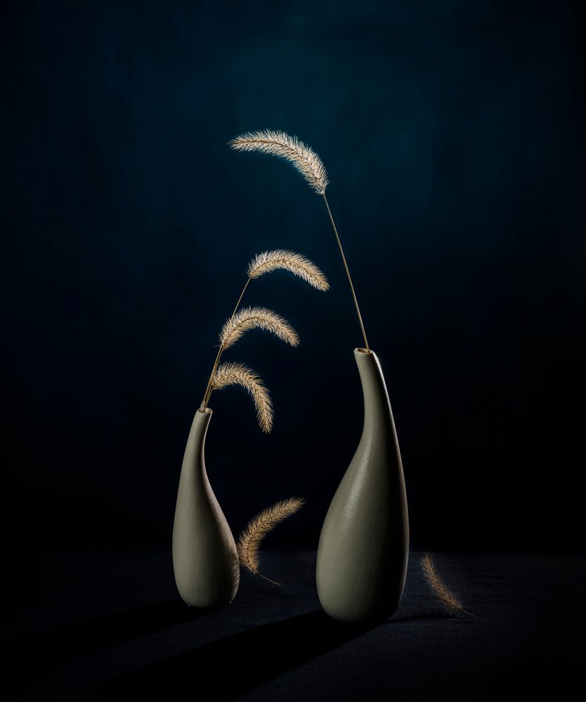 Moody botaniske vaser af John-Mei Zhong