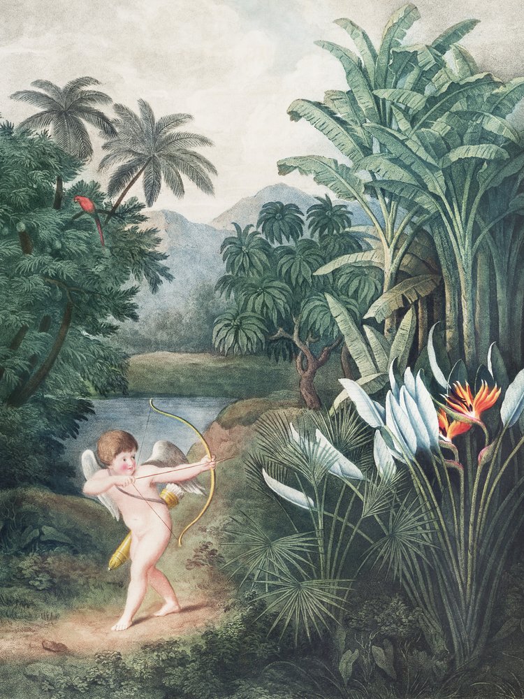 Cupido inspirerer planter med kærlighed fra Flora-templet (1807) af Robert John Thornton af John Thornton