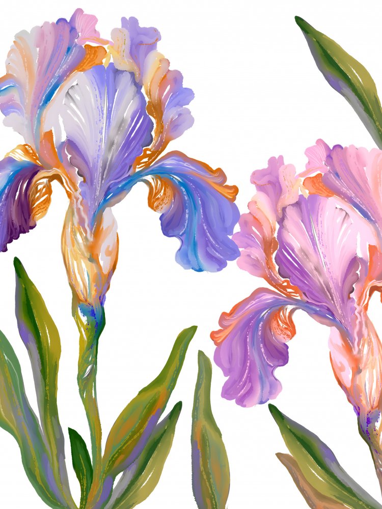 Farvestrålende irisblomster af Josie George