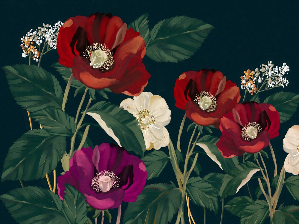 Elegante mørke valmuer af Josie George