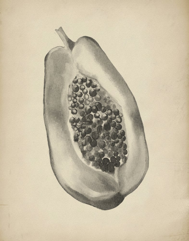 Halv tropisk papaya af Josie George