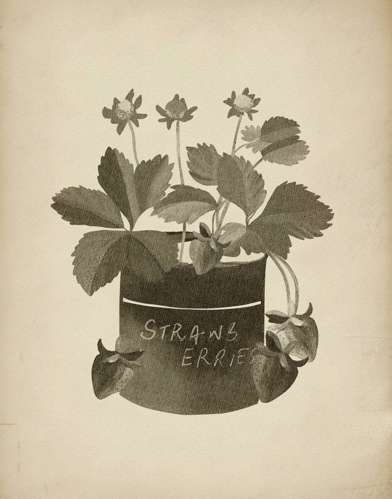 Vintage-illustration af jordbær af Josie George