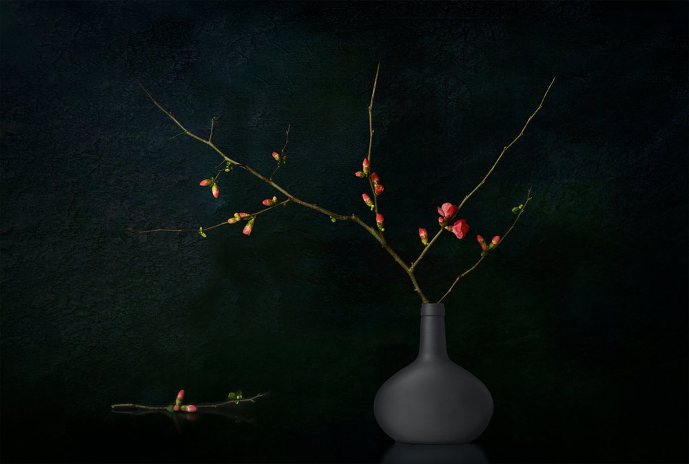 Mørke, blomstrende grene af Juan Antonio Palacios