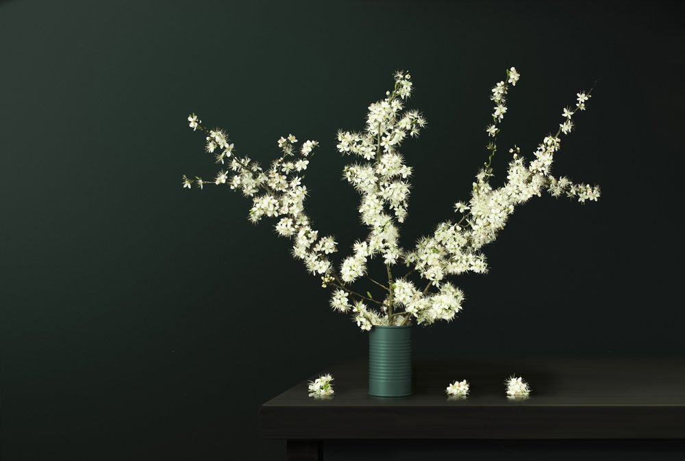 Friske forårsblomster af Juan Antonio Palacios