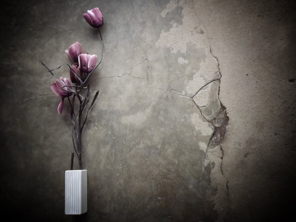 Stemningsfulde lilla blomster på beton af Kahar Lagaa