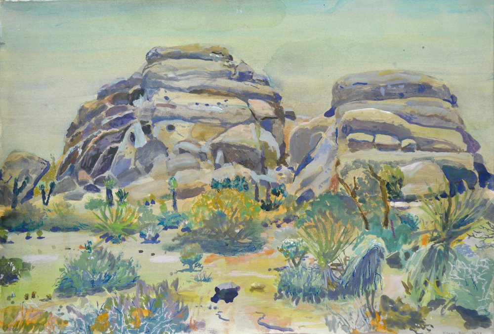 Landskabet ved Joshua Tree af Karin Bos