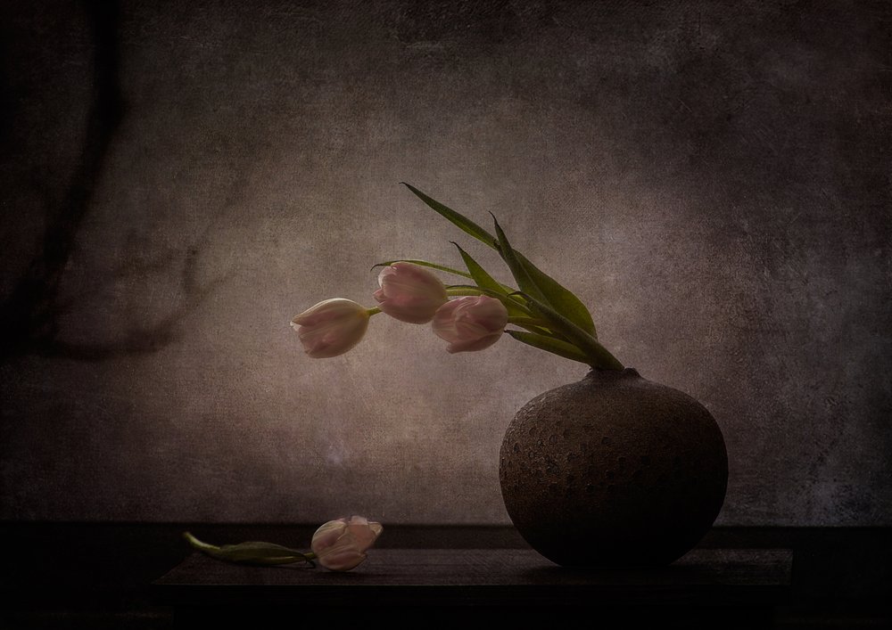 Elegante stemningsfulde tulipaner af Katarina Holmström