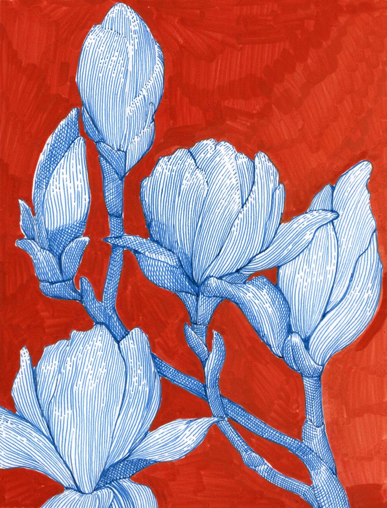 Dristige blå magnoliaer af Katie O'Shea