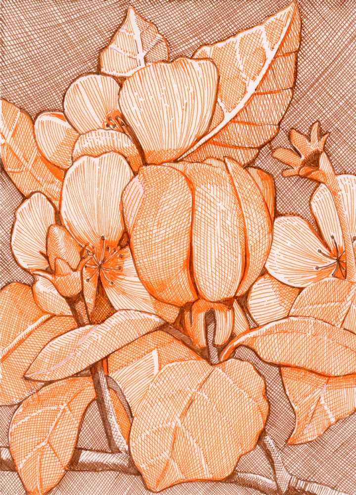 Skraverede orange blomster af Katie O'Shea