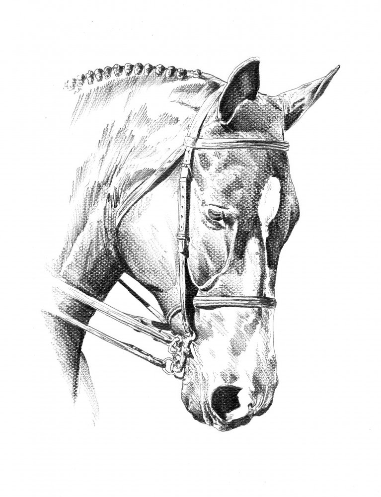  af Kulik