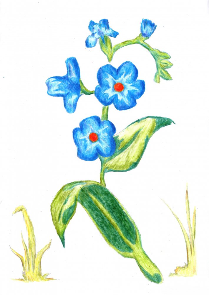  af Kulik