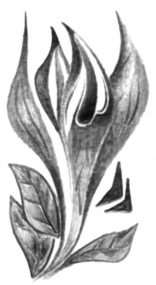  af Kulik