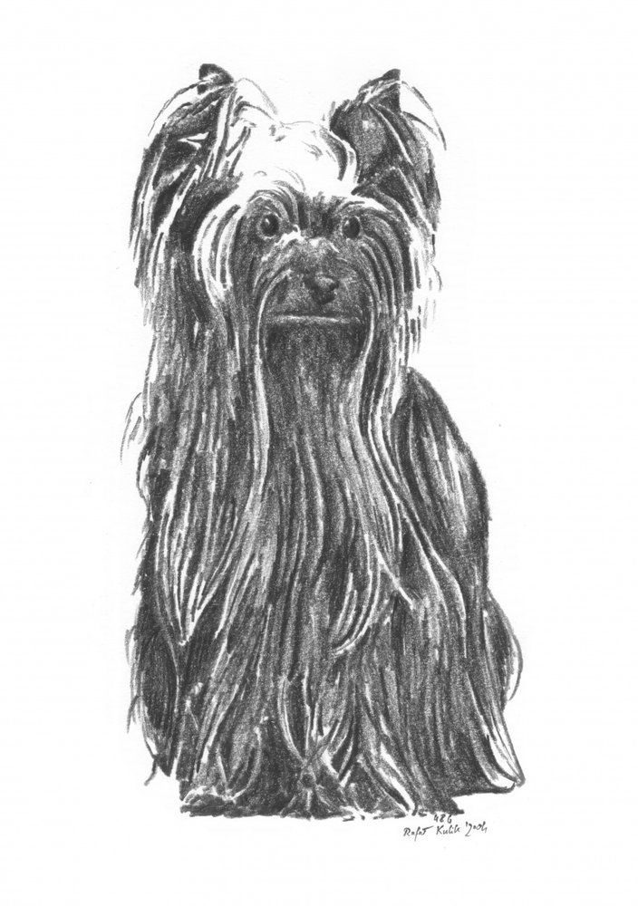  af Kulik